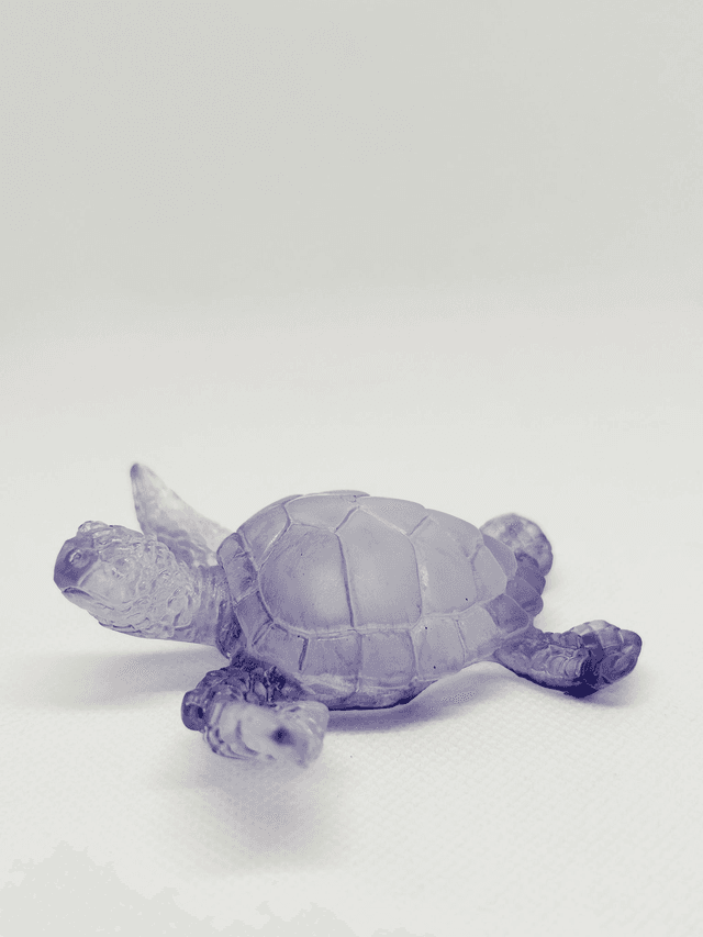 Petite tortue décorative